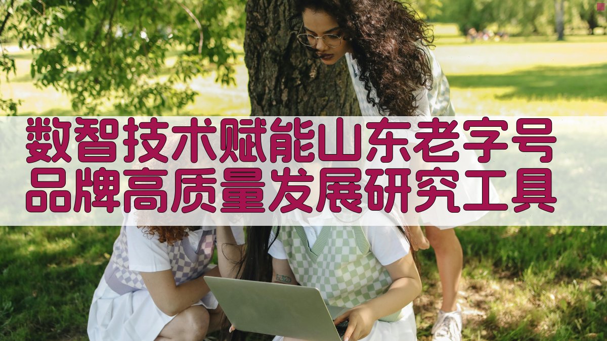 数智技术赋能山东老字号品牌高质量发展研究工具