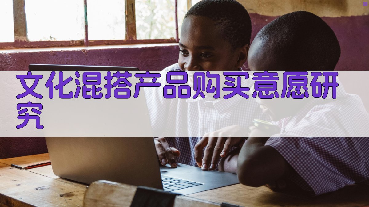 文化混搭产品购买意愿研究