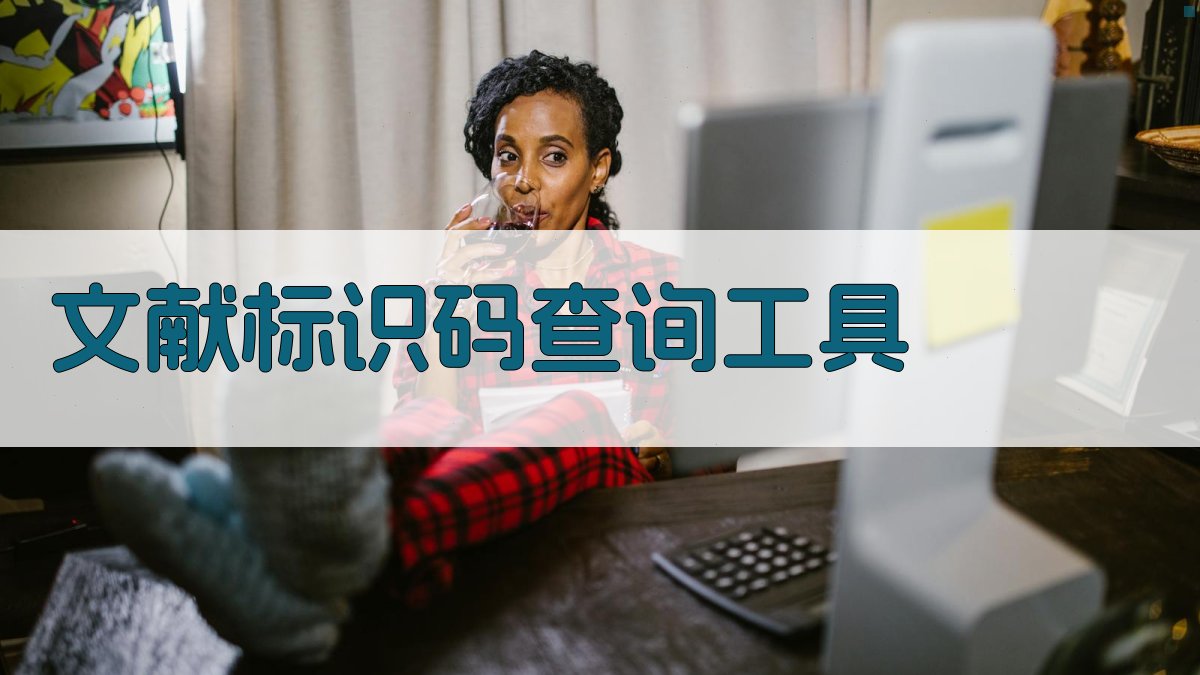 文献标识码查询工具