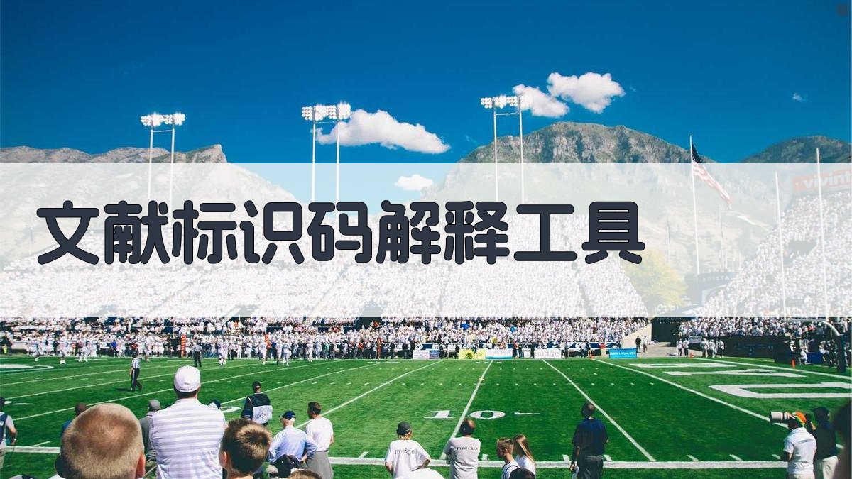 文献标识码解释工具