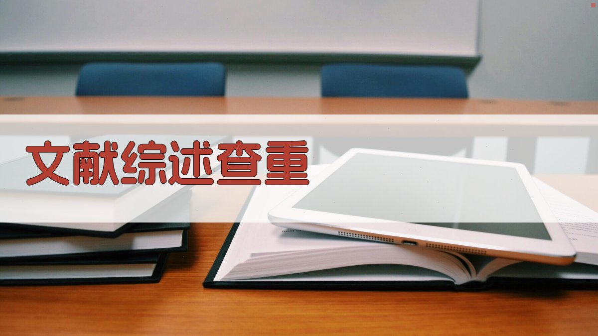 AI文献综述查重