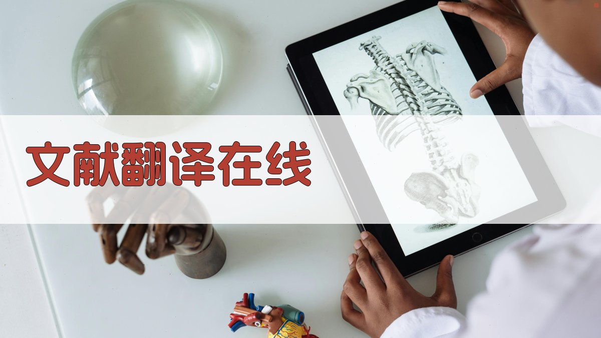 AI智能文献翻译在线