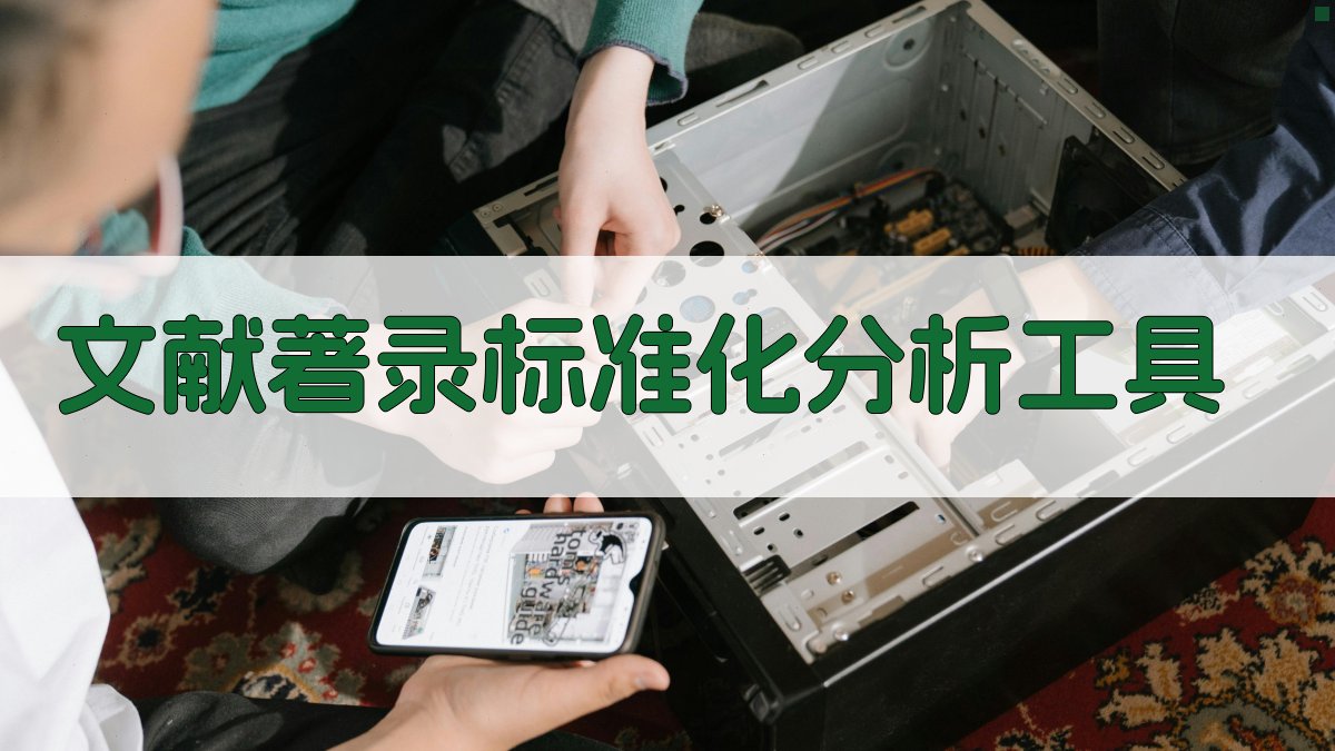 文献著录标准化分析工具