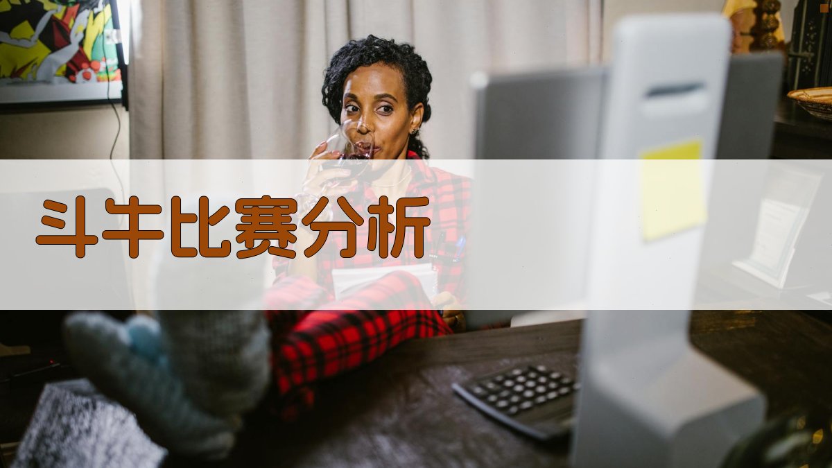 AI斗牛比赛分析