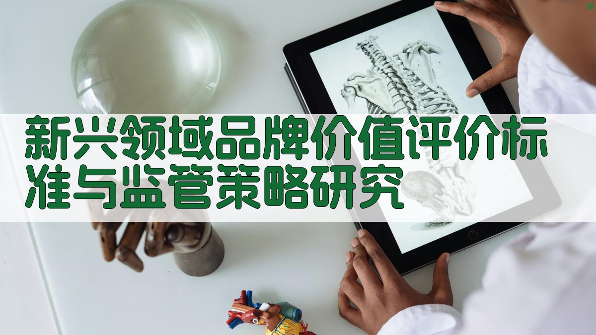 新兴领域品牌价值评价标准与监管策略研究