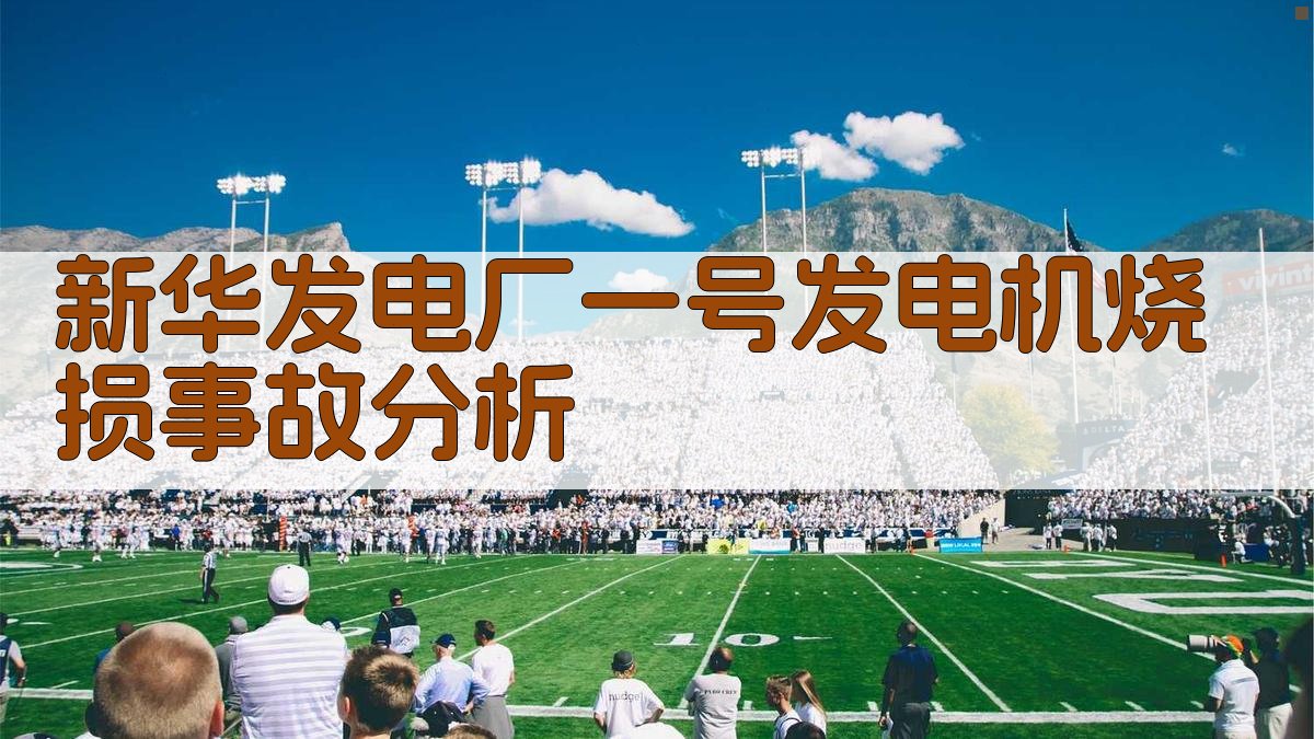 新华发电厂一号发电机烧损事故分析