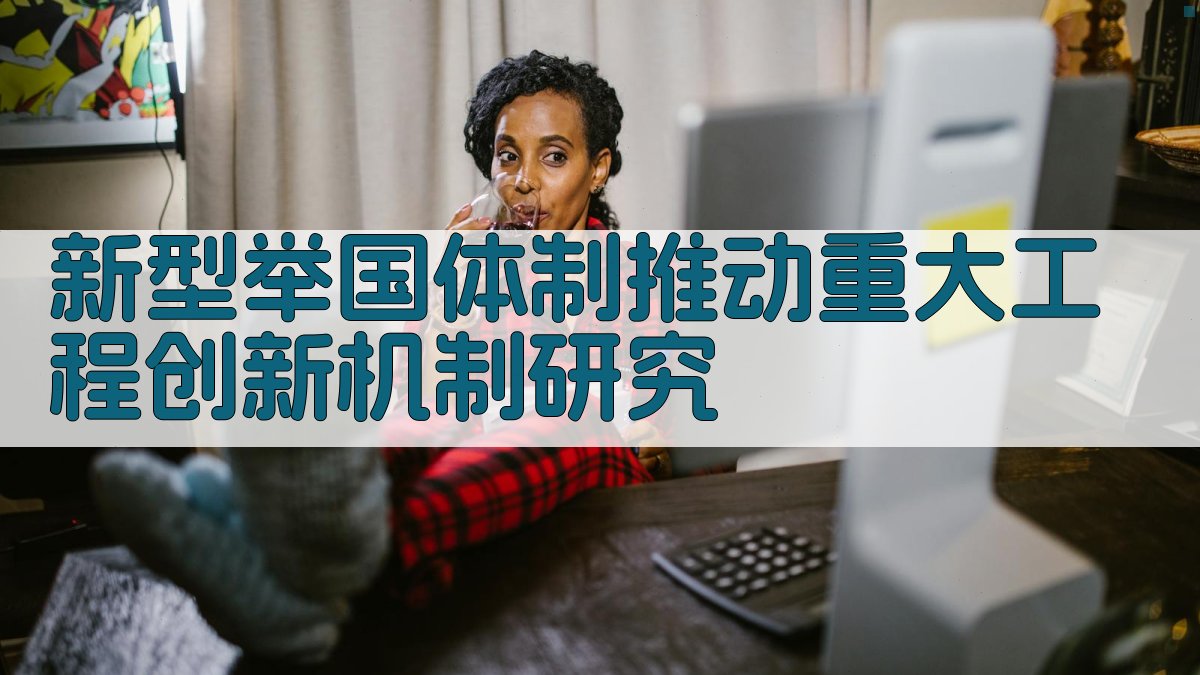 新型举国体制推动重大工程创新机制研究