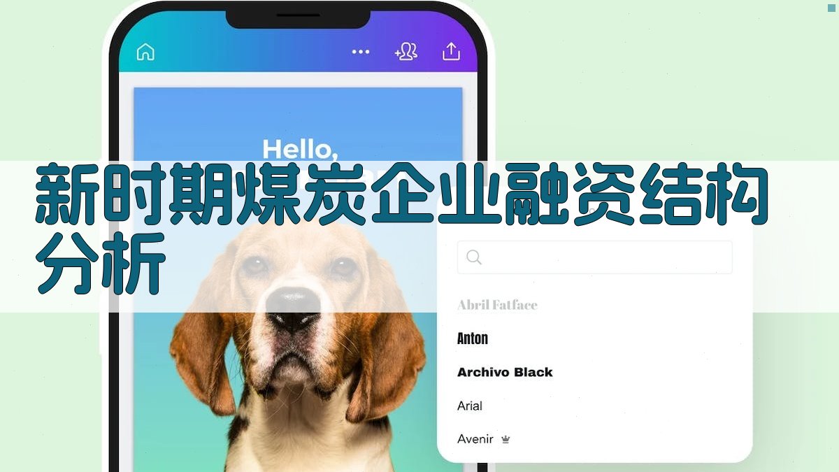 新时期煤炭企业融资结构分析