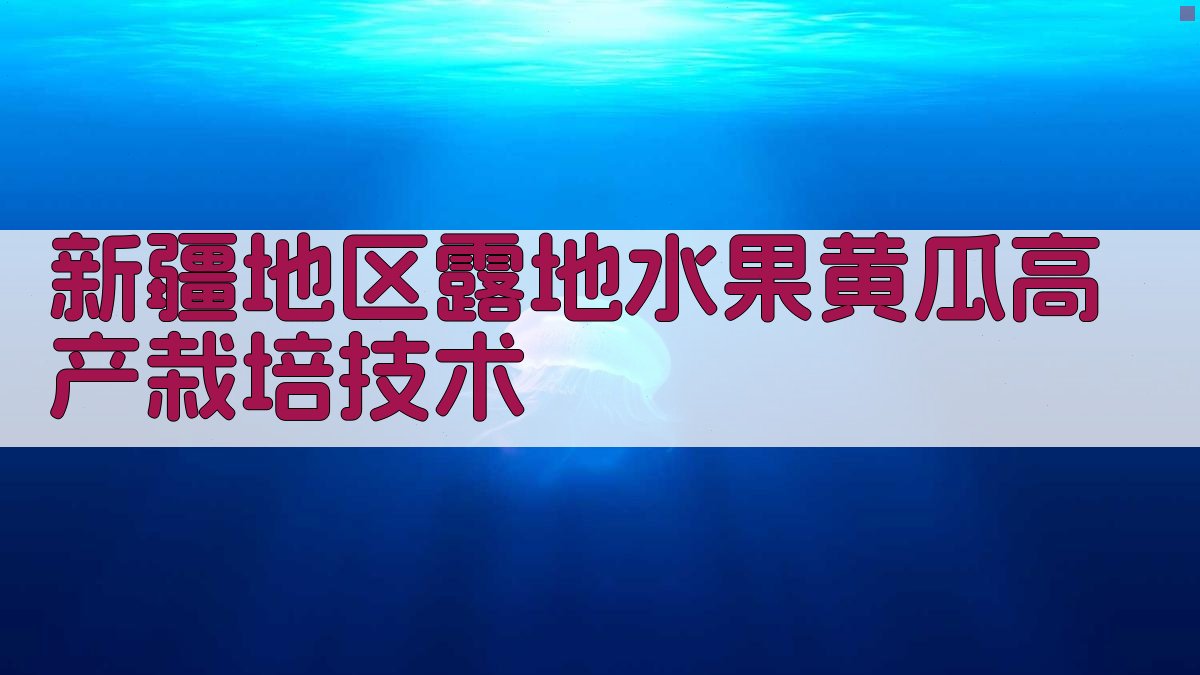 新疆地区露地水果黄瓜高产栽培技术