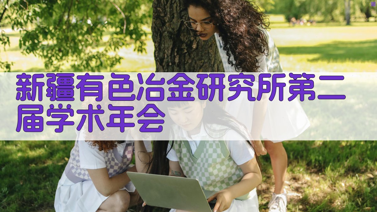 新疆有色冶金研究所第二届学术年会