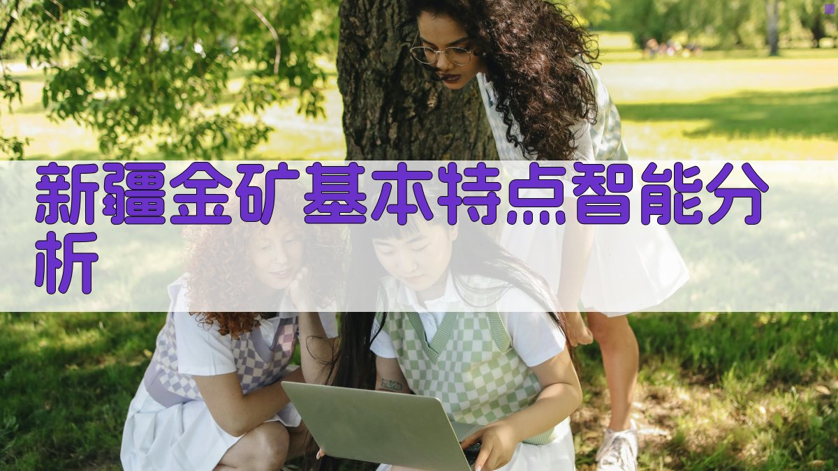 新疆金矿基本特点智能分析
