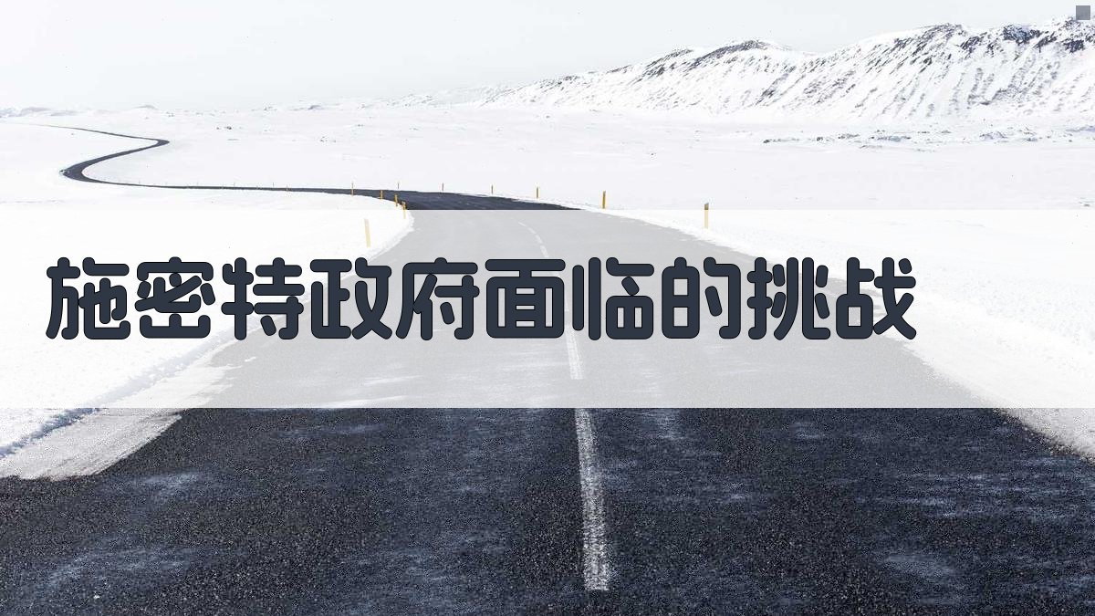 施密特政府面临的挑战分析