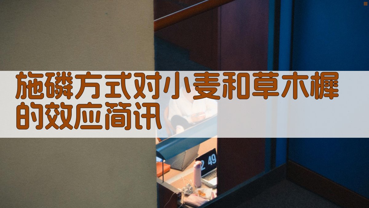 AI一键生成效应简讯