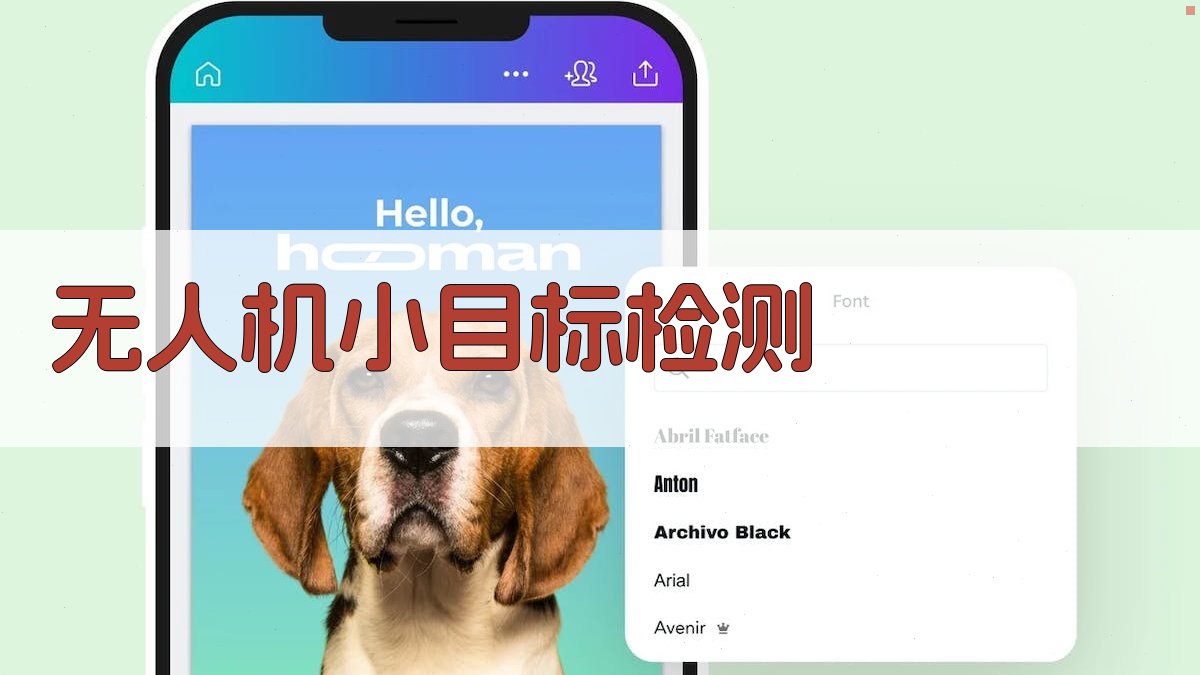 基于生物启发脉冲神经网络的无人机小目标检测