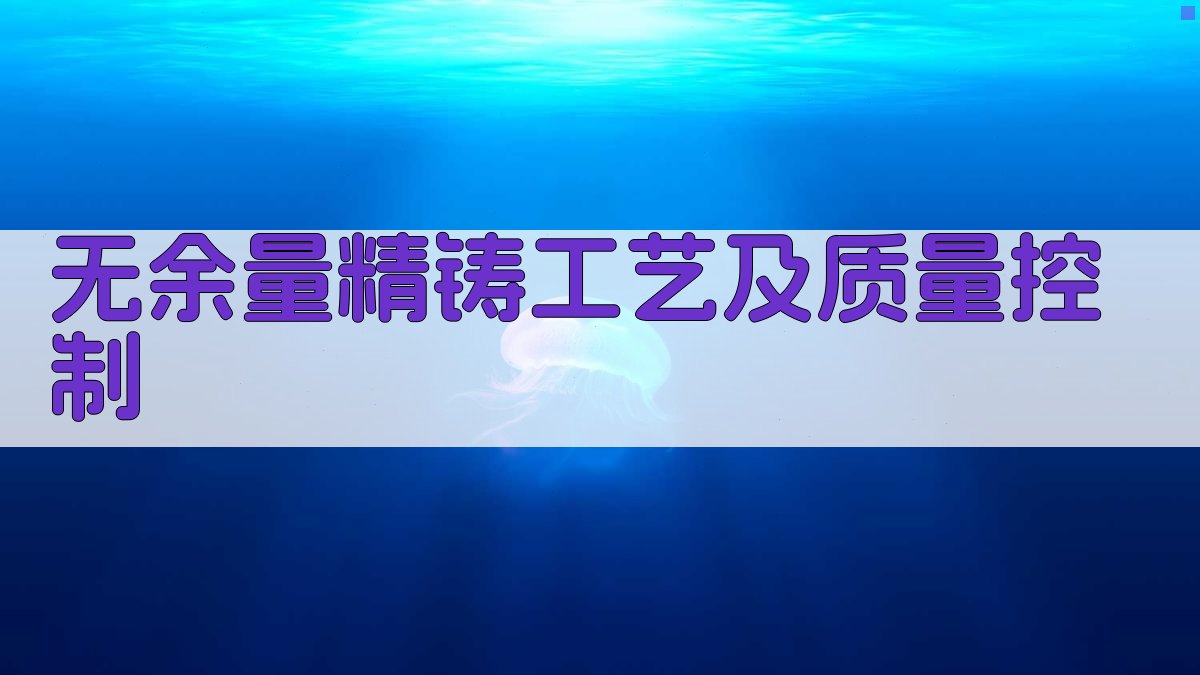 无余量精铸工艺及质量控制