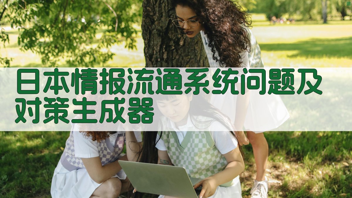 日本情报流通系统问题及对策生成器