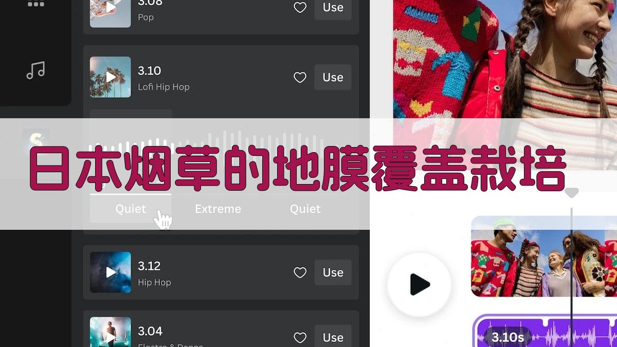日本烟草的地膜覆盖栽培