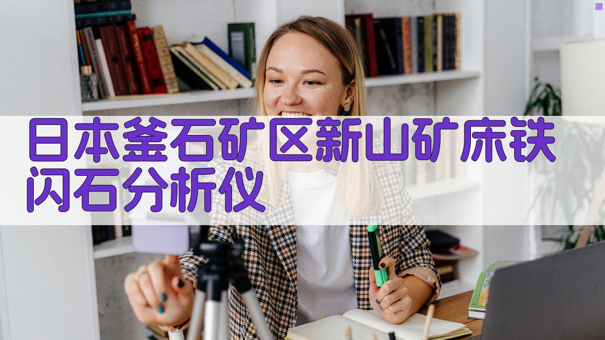 日本釜石矿区新山矿床铁闪石分析仪