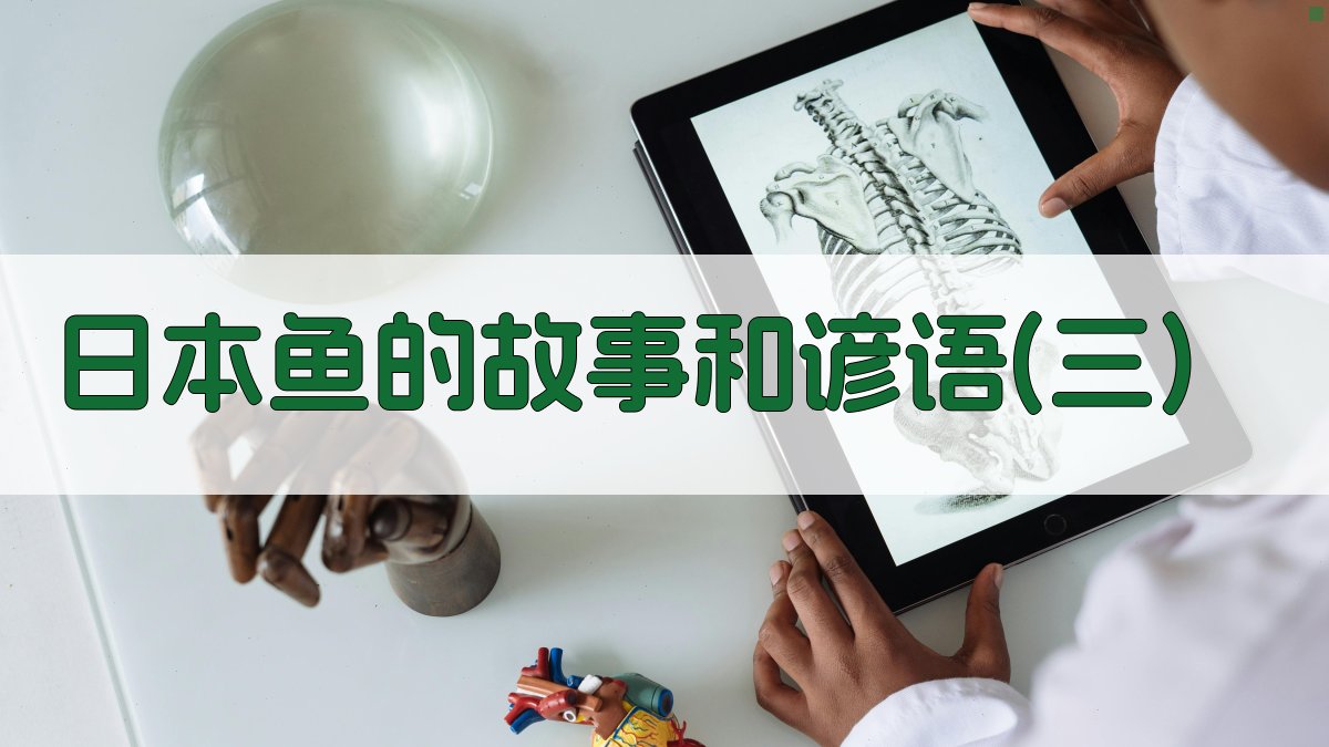 日本鱼的故事和谚语(三)