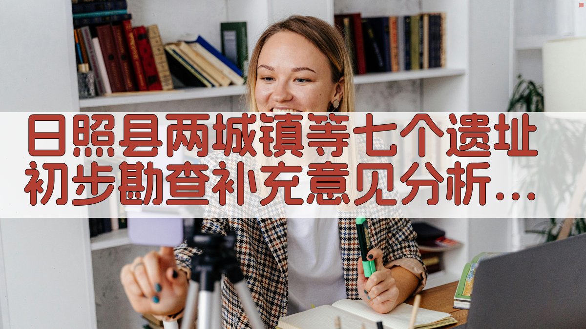 AI考古勘查补充意见分析