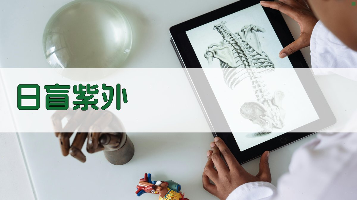 日盲紫外-可见光双光谱成像标定融合