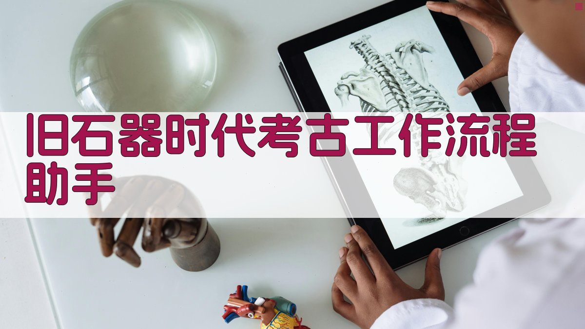 AI旧石器时代考古工作流程助手