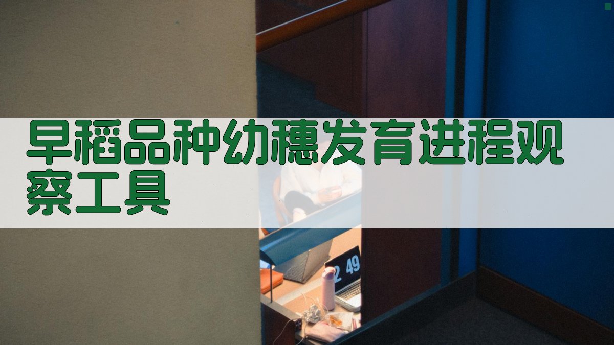 早稻品种幼穗发育进程观察工具