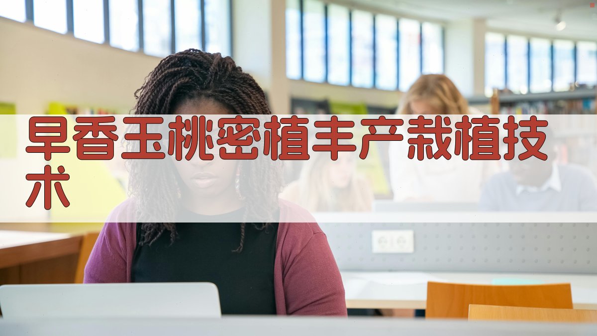 早香玉桃密植丰产栽植技术