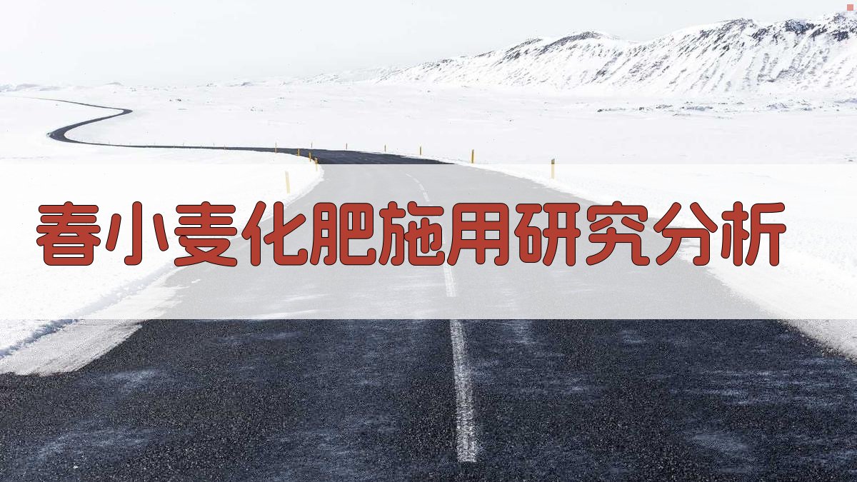 AI春小麦化肥施用研究分析