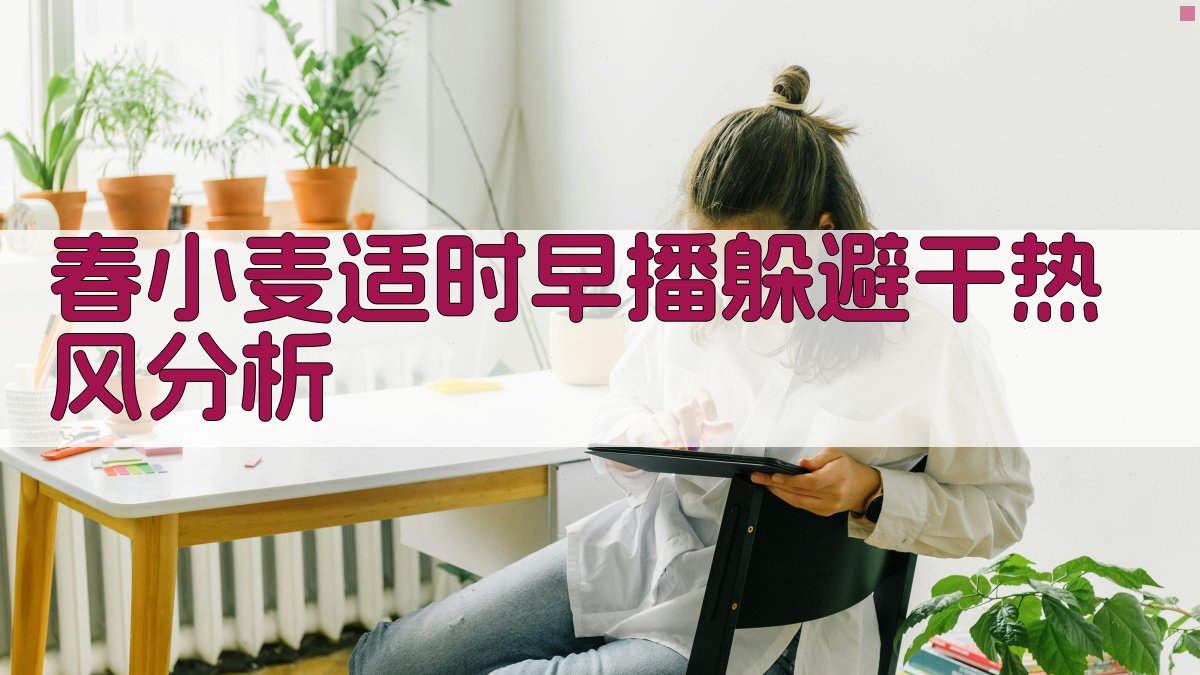 春小麦适时早播躲避干热风分析