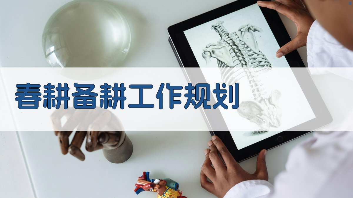 AI春耕备耕工作规划生成器