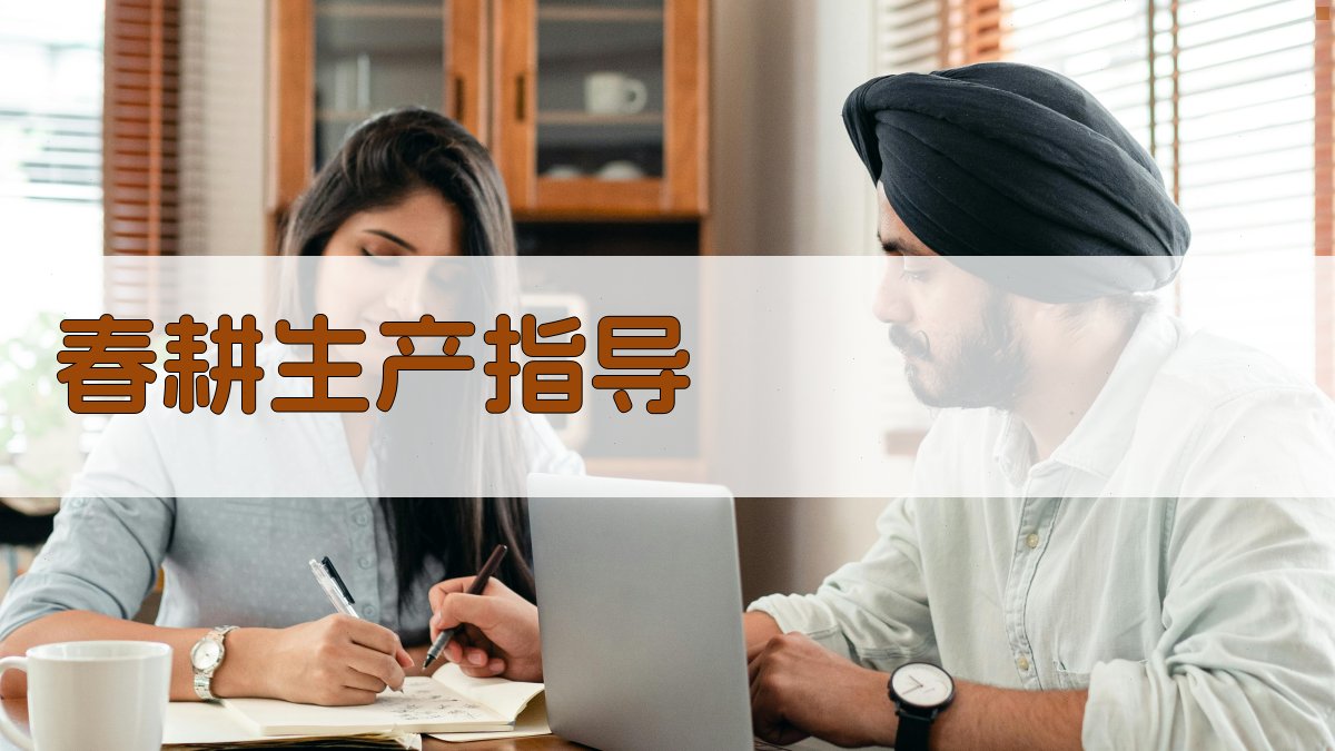 AI春耕生产指导