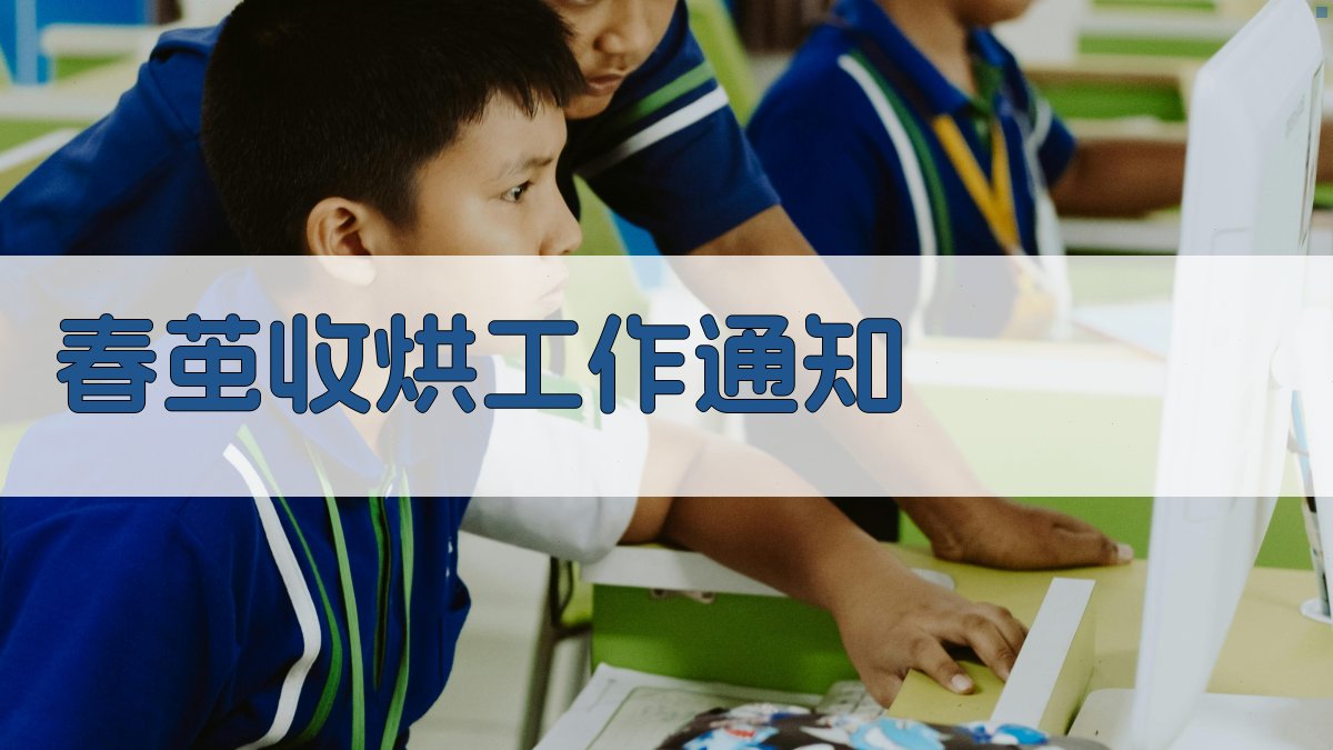 春茧收烘工作通知生成器