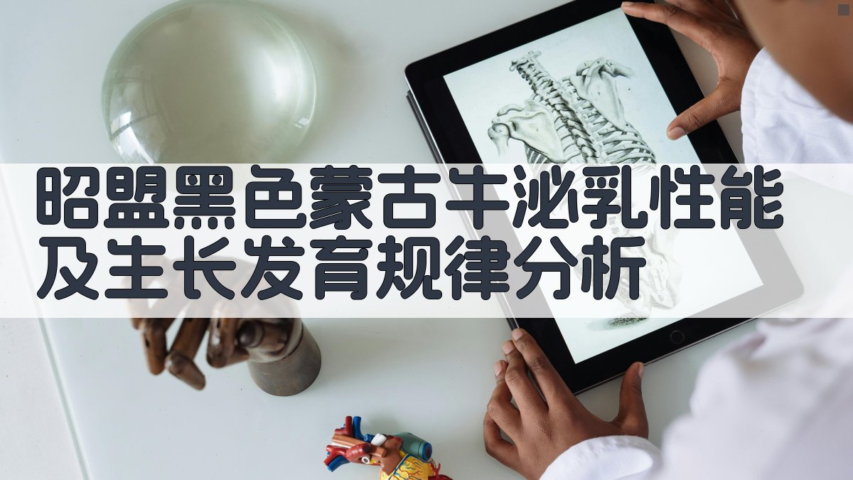 昭盟黑色蒙古牛泌乳性能及生长发育规律分析