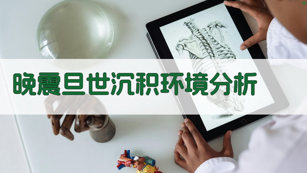 AI沉积环境分析