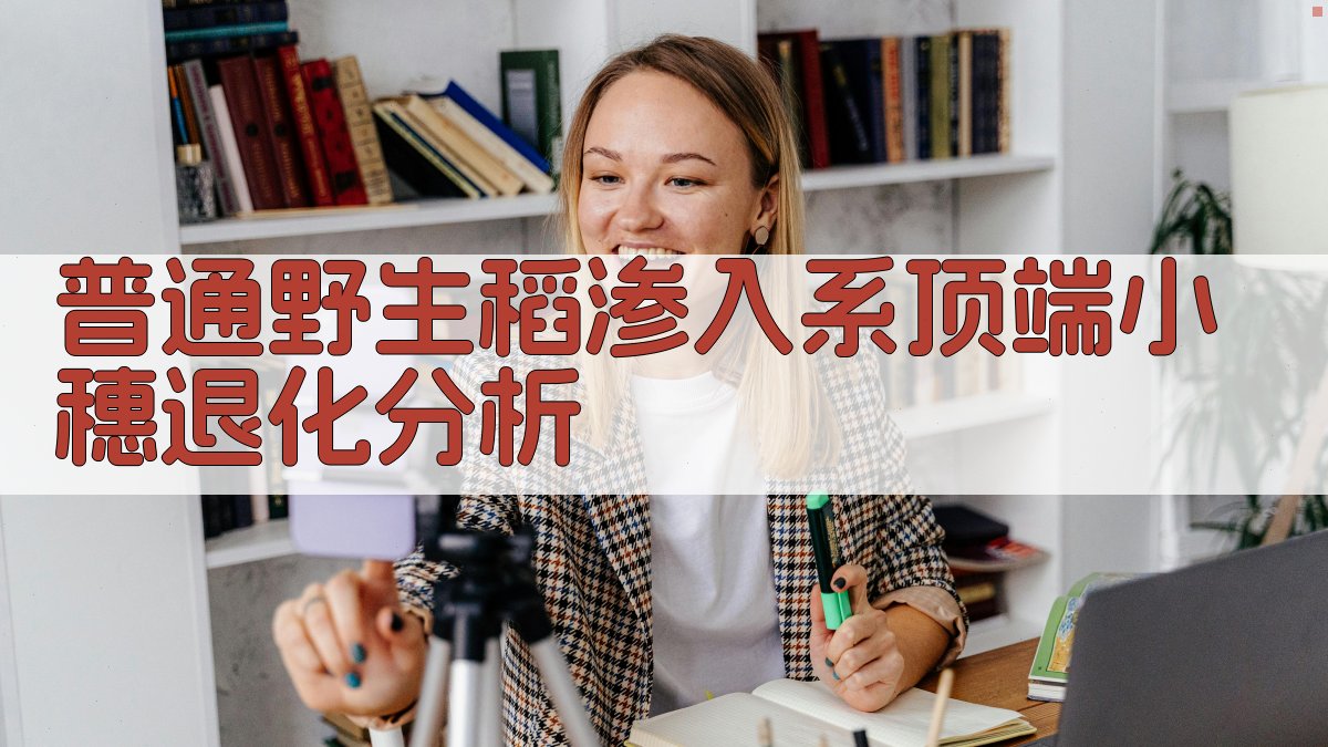 普通野生稻渗入系顶端小穗退化分析