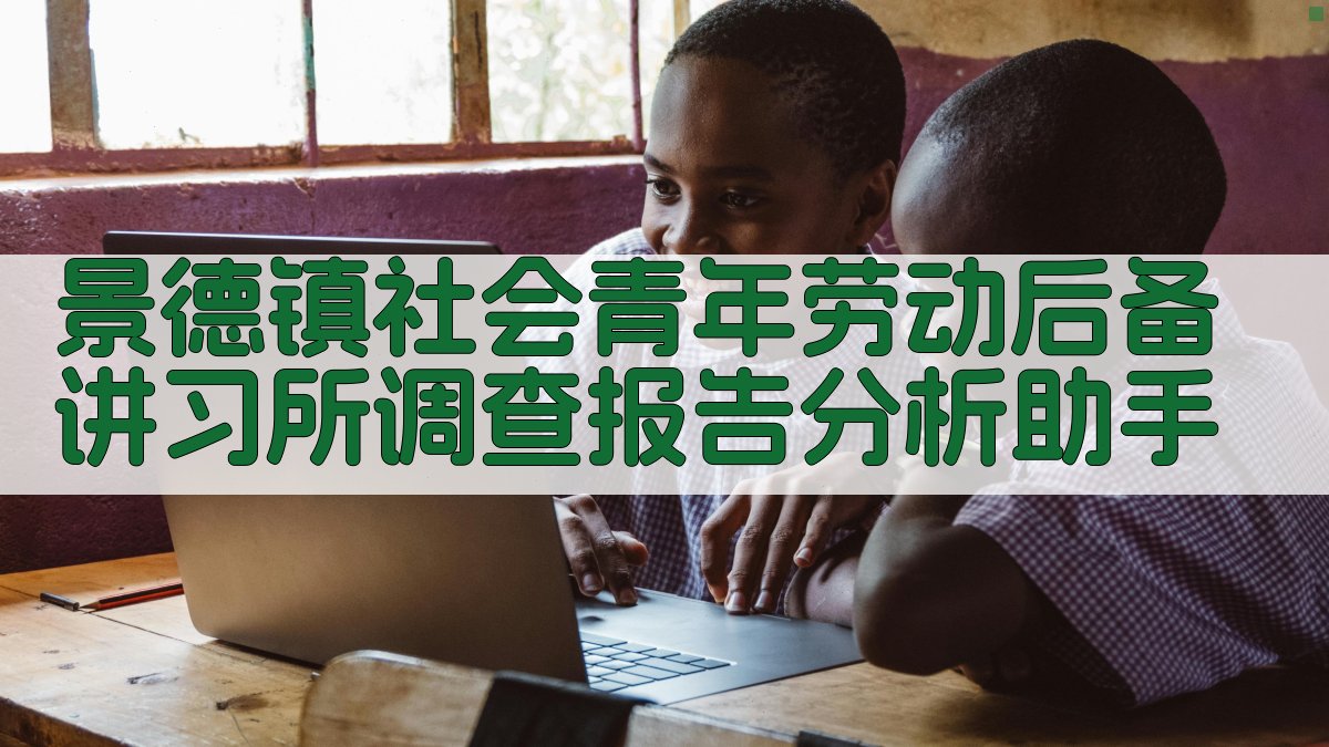 景德镇社会青年劳动后备讲习所调查报告分析助手