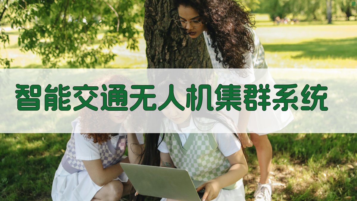 智能交通无人机集群系统