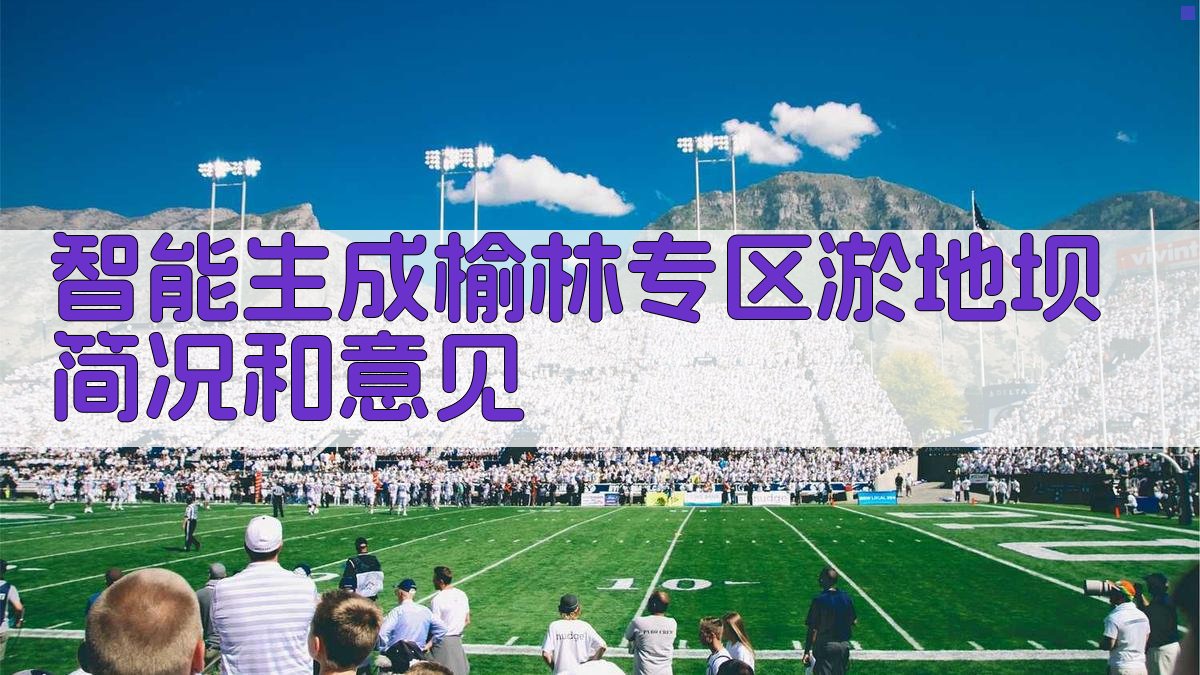 AI智能生成榆林专区淤地坝简况和意见