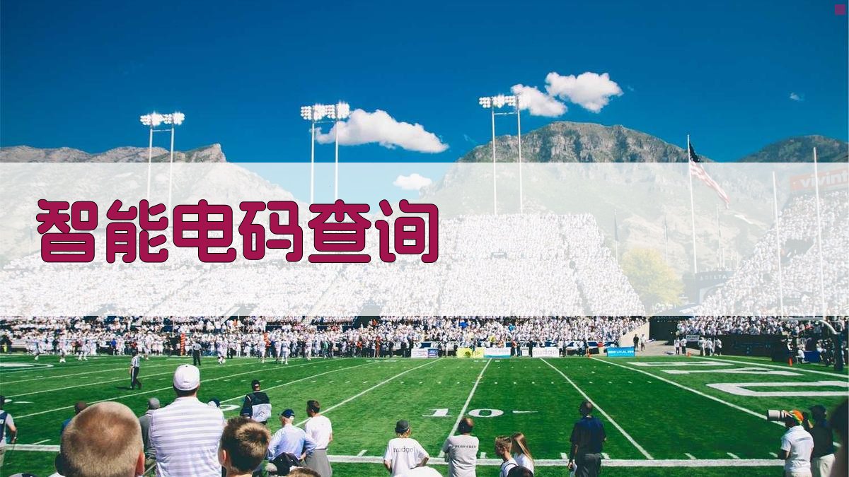 智能电码查询