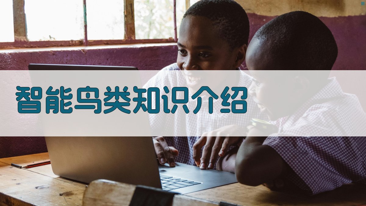 AI智能鸟类知识介绍