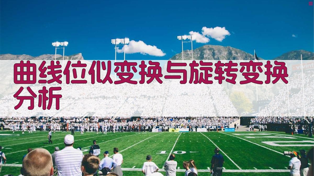 AI曲线位似变换与旋转变换分析