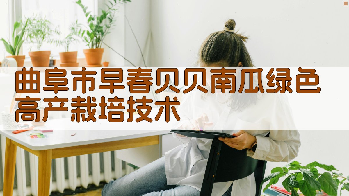 曲阜市早春贝贝南瓜绿色高产栽培技术