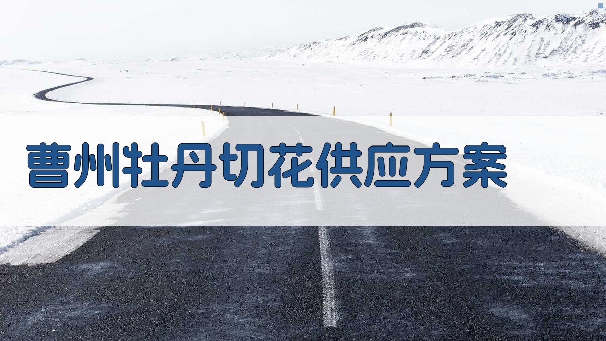 曹州牡丹切花供应方案