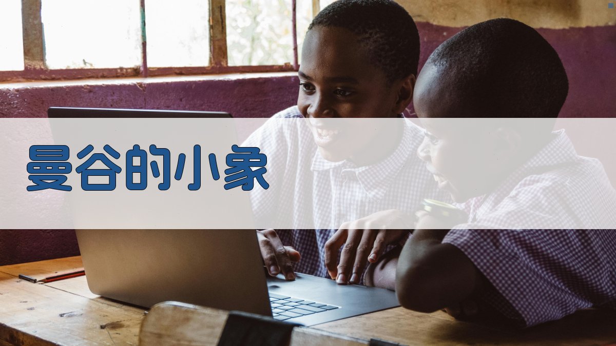 曼谷的小象课文分析