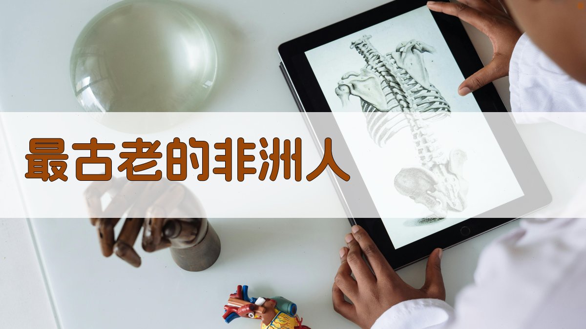 AI最古老的非洲人生成器