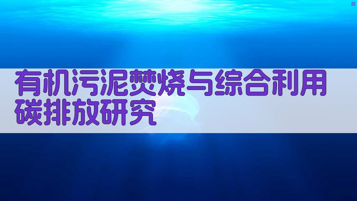 有机污泥焚烧碳排放分析