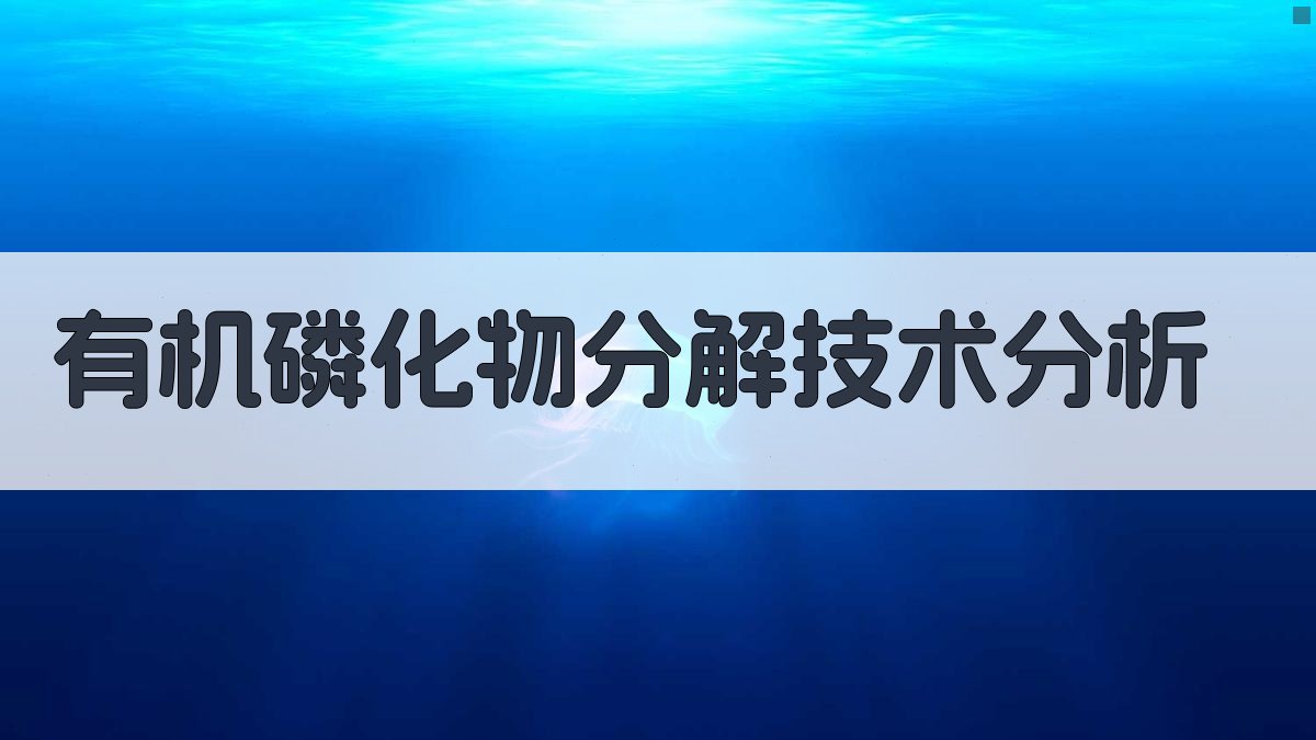 有机磷化物分解技术分析