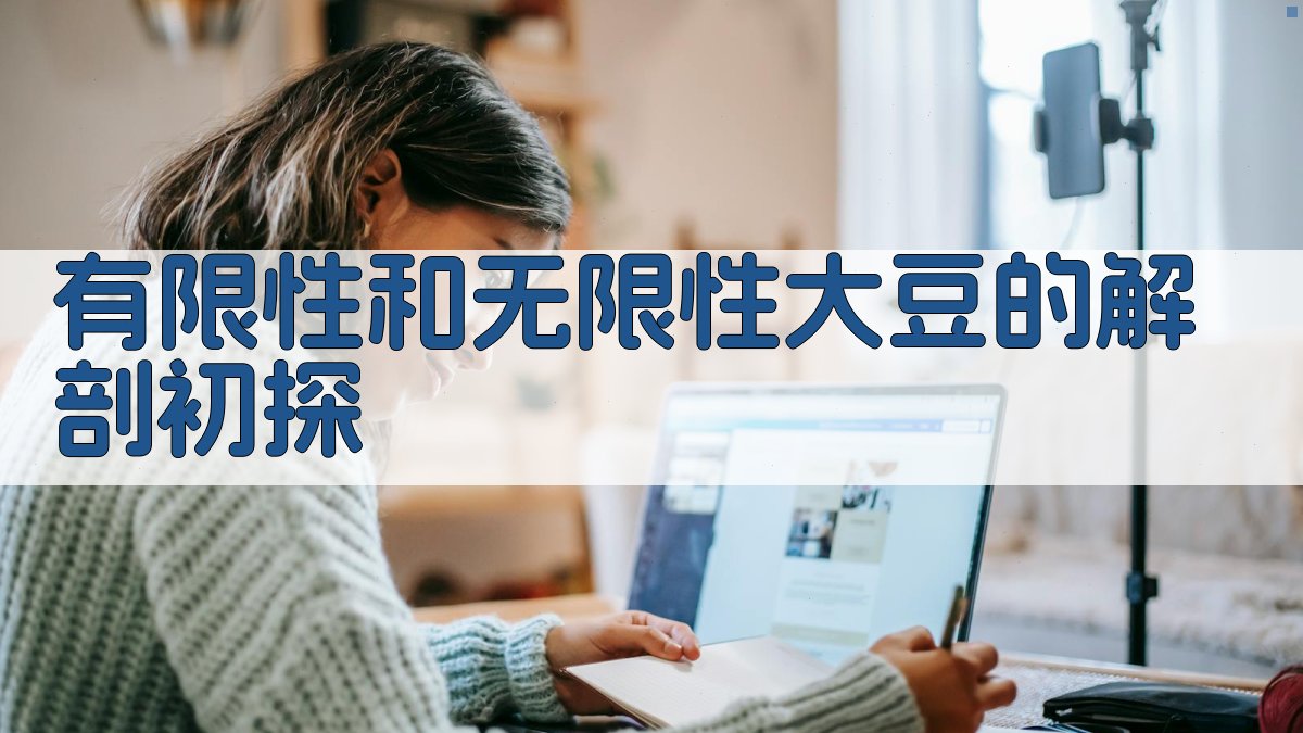 有限性和无限性大豆的解剖初探分析工具