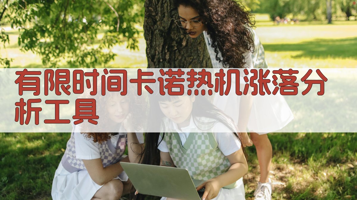 有限时间卡诺热机涨落分析工具